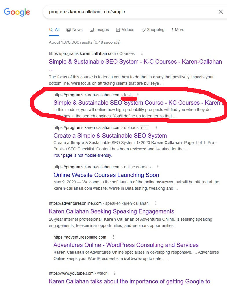 search results for simple & sustainable SEO system